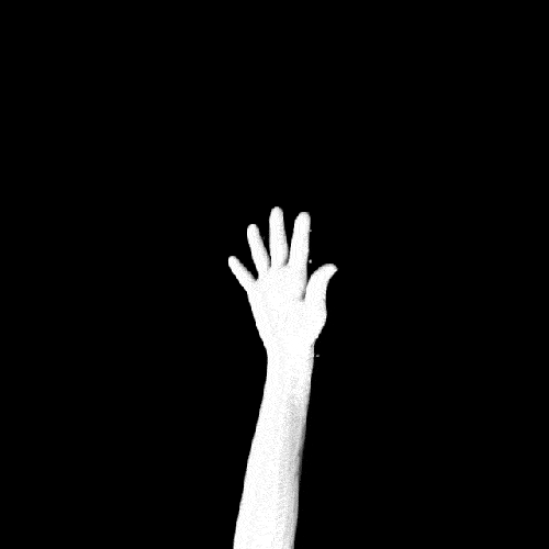 Black White Arm Puffs GIF