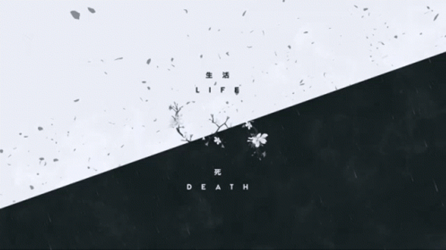 Black White Background Life Death GIF