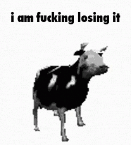 Black White Cow I Am Fucking Losing It GIF