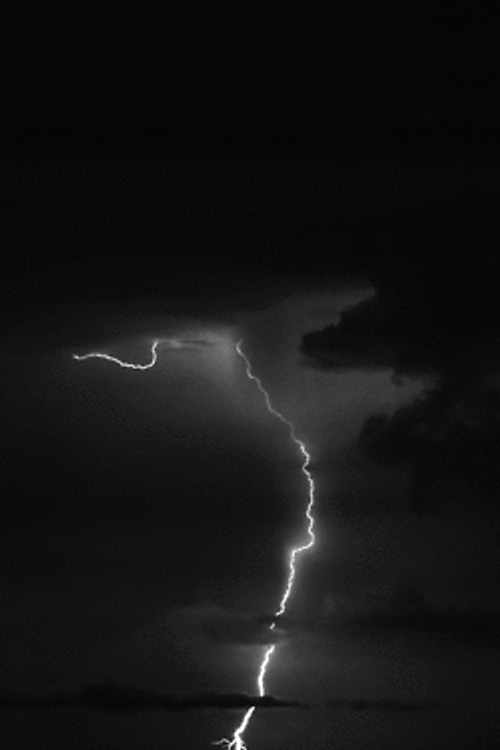 Black White Lightning Storm GIF