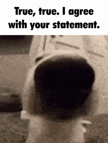 Black White Person True True I Agree Statement GIF