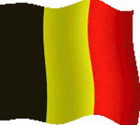 Black Yellow and Red Flag Waving