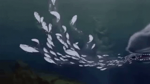 Blackblood Whale GIF