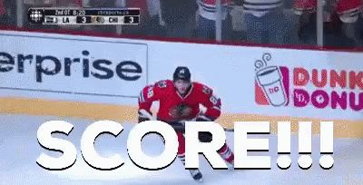 Blackhawks Chicago GIF
