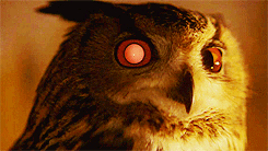 Blade Runner Animoid Owl GIF