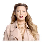 Blake Lively Who Is She Sticker GIF