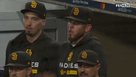 Blake Snell Team Celebrate GIF