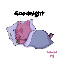 Blanket Buenas Noches Sticker GIF
