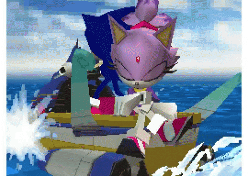 Blaze The Cat In The Sea GIF