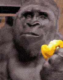 Blazedpx Gorilla Gif GIF