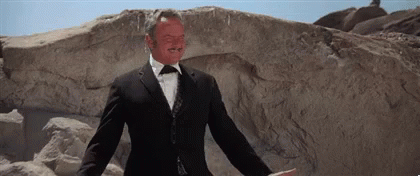 Blazing Saddles 420 X 176 Gif GIF