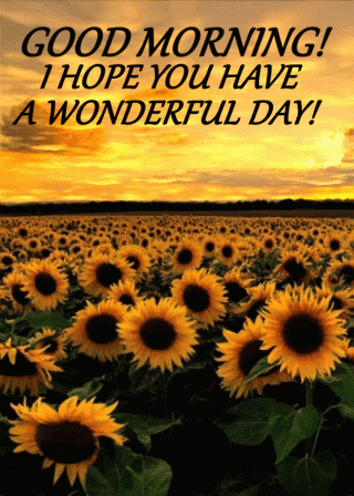 Blessed Day Hope You Have A Wonderful Day GIF