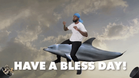 Blessed Day Man Riding A Dolphin GIF