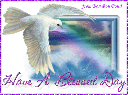 Blessed Day White Dove GIF