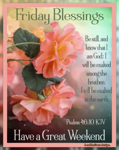 Blessed Friday Beautiful Flowers GIF