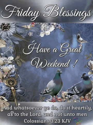 Blessed Friday Gray Pigeons GIF