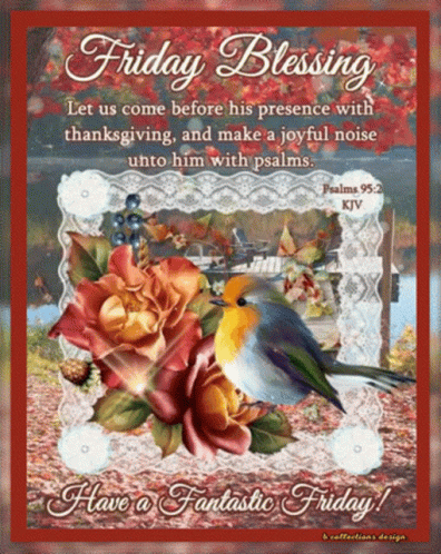 Blessed Friday Robin Bird GIF