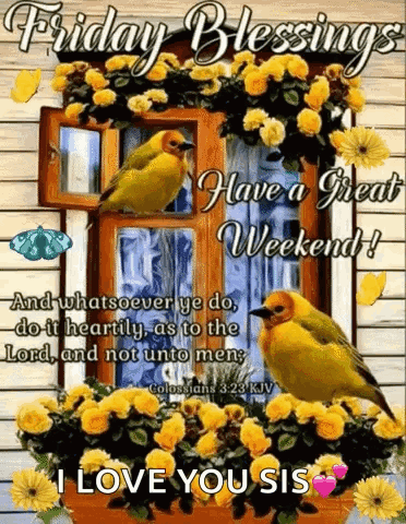 Blessed Friday Taveta Weaver Bird GIF