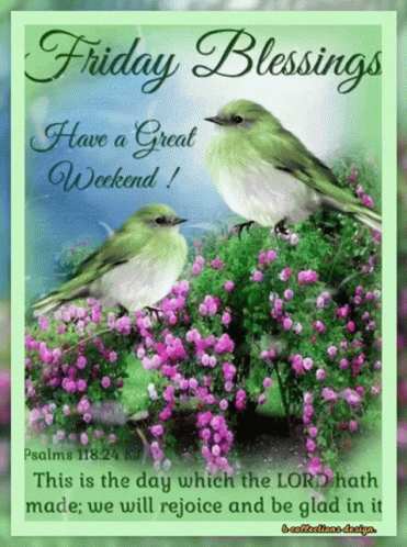 Blessed Friday Tennessee Warbler Birds GIF