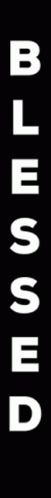Blessed Horizontal Bar GIF