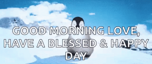 Blessed Monday Happy Penguin Running GIF