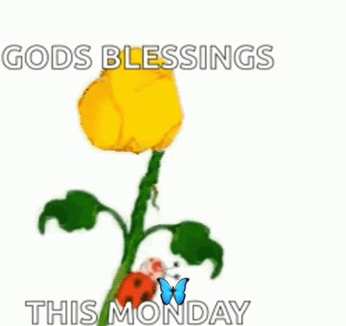 Blessed Monday Sunflower Surprise GIF