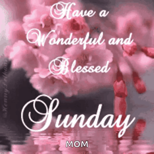 Blessed Sunday Special Good Morning GIF