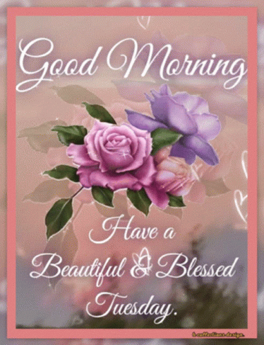 Blessed Tuesday Blooming Lilac Flower GIF