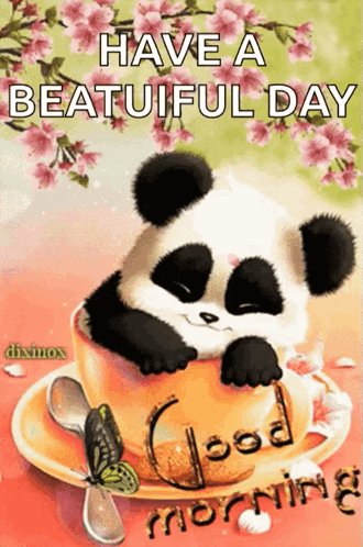 Blessed Tuesday Cute Panda Bear GIF
