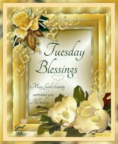 Blessed Tuesday Floating Tiny White Hearts GIF