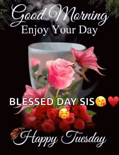 Blessed Tuesday Morning Tea Tiny Bird Flying GIF