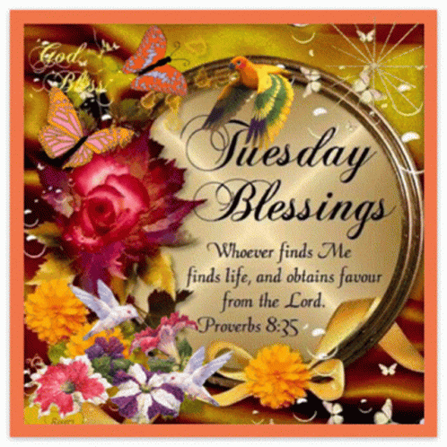 Blessed Tuesday Peach Butterflies GIF
