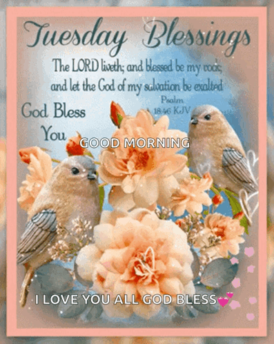 Blessed Tuesday Pretty Little Bird GIF
