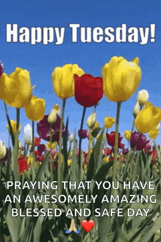 Blessed Tuesday Waving Tulips GIF