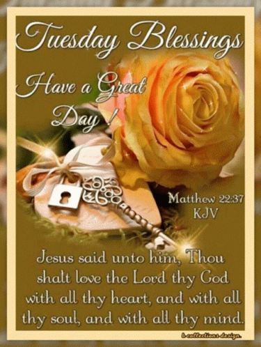 Blessed Tuesday Yellow Rose Bible Verse GIF