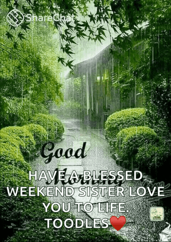 Blessed Weekend Sister Love You to Life Noodles