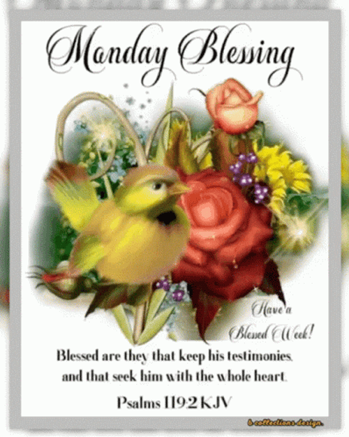 Blessing Good Morning Happy Monday GIF 