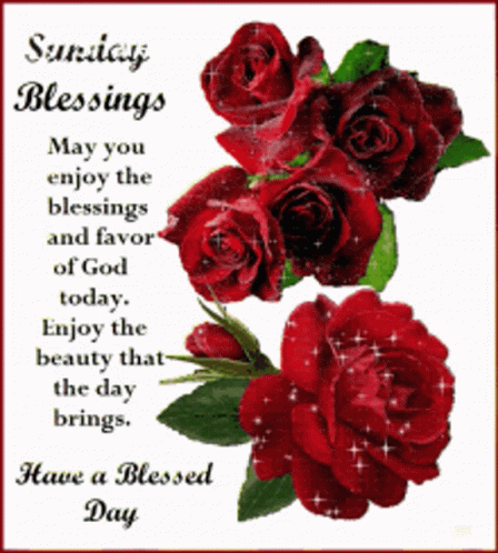 Blessings Sunday Red Roses GIF