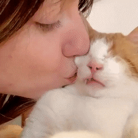 Blind Cat Cute Kiss GIF