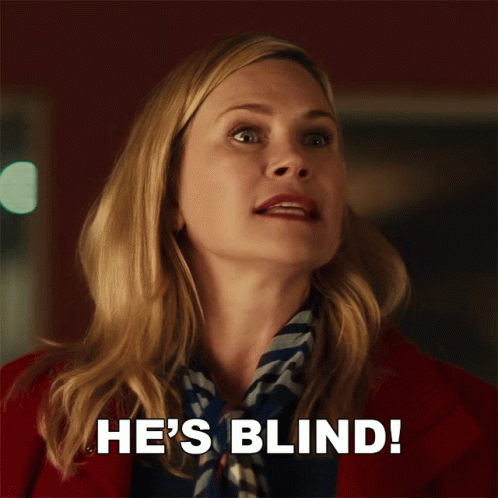 Blind Hero Dog Journey Home GIF