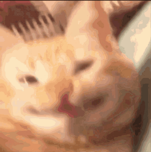Blinking Cat Smile GIF