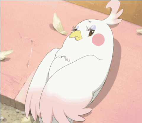 Blinking Dera Mochmazzi Tamako Market GIF