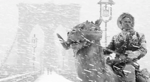 Blizzard 498 X 275 Gif GIF