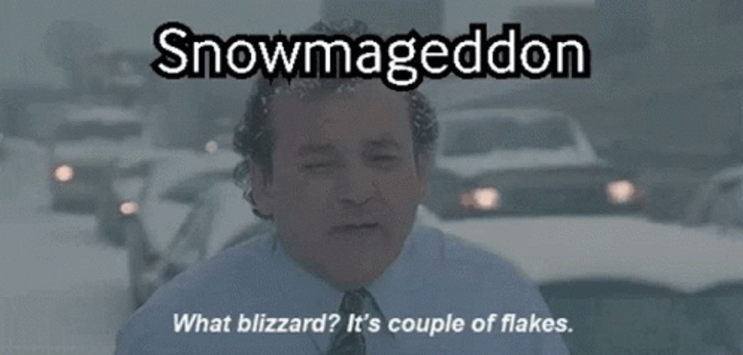 Blizzard Bill Murray Reporting Groundhog Day GIF