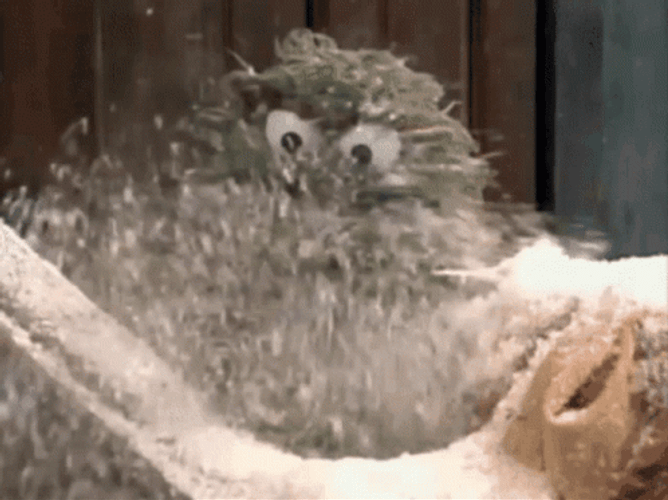 Blizzard Grover Having Fun Sesame Street GIF