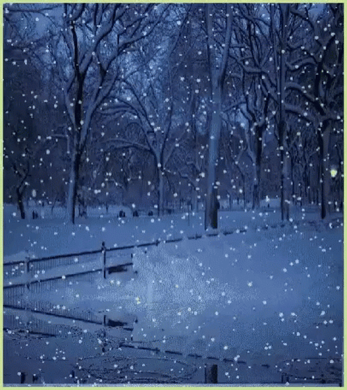 Blizzard Snow Fall Winter Time GIF