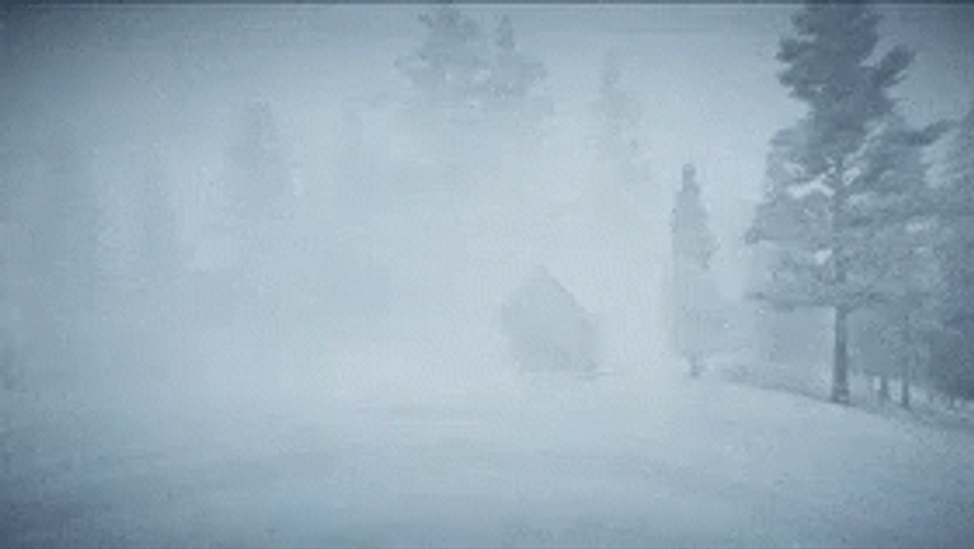 Blizzard GIF