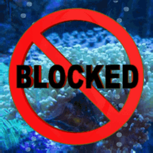 Blocked Not Allowed Sign Ocean Underwater Meme GIF