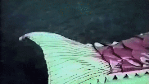 Blonde Girl Mermaid GIF