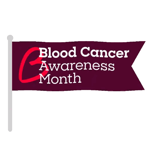Blood Cancer Awareness Month Flag